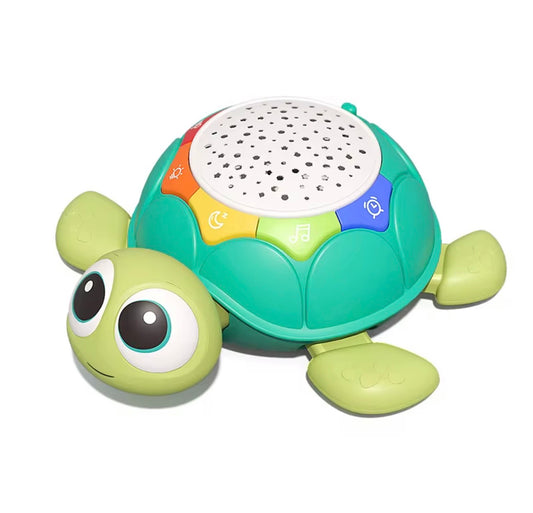 Crawling Turtle Toy