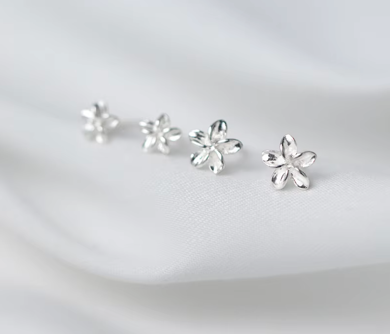 Exquisite Hoops 925 Silver