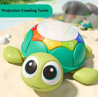 Crawling Turtle Toy