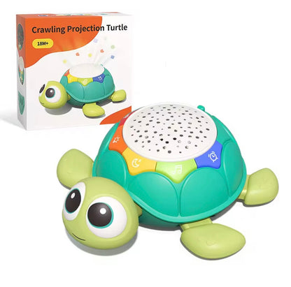 Crawling Turtle Toy