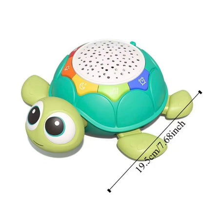 Crawling Turtle Toy