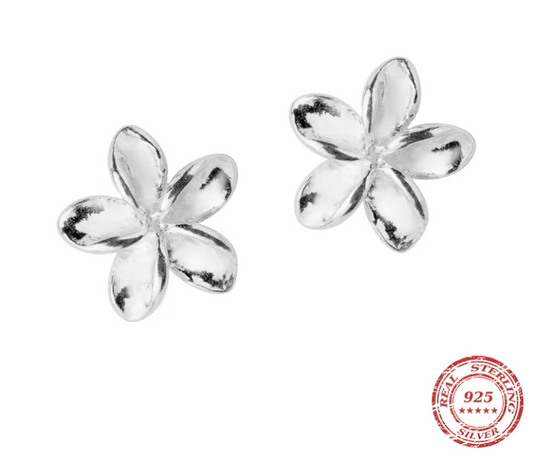 Exquisite Hoops 925 Silver