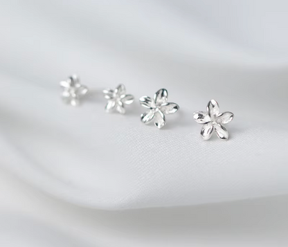 Exquisite Hoops 925 Silver