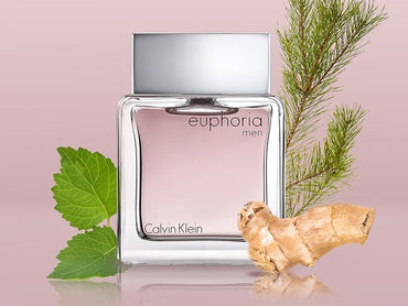 CALVIN KLEIN EUPHORIA (M) EDT SP 3.3oz